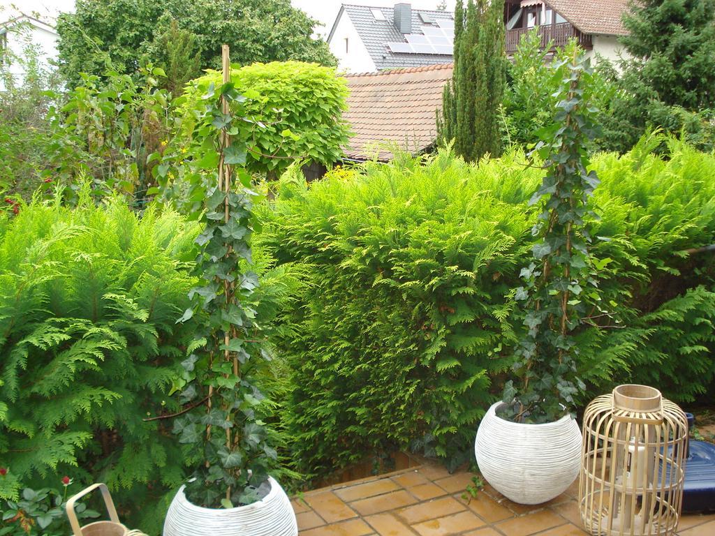 Ferienwohnung Sartorius بينسهايم الغرفة الصورة