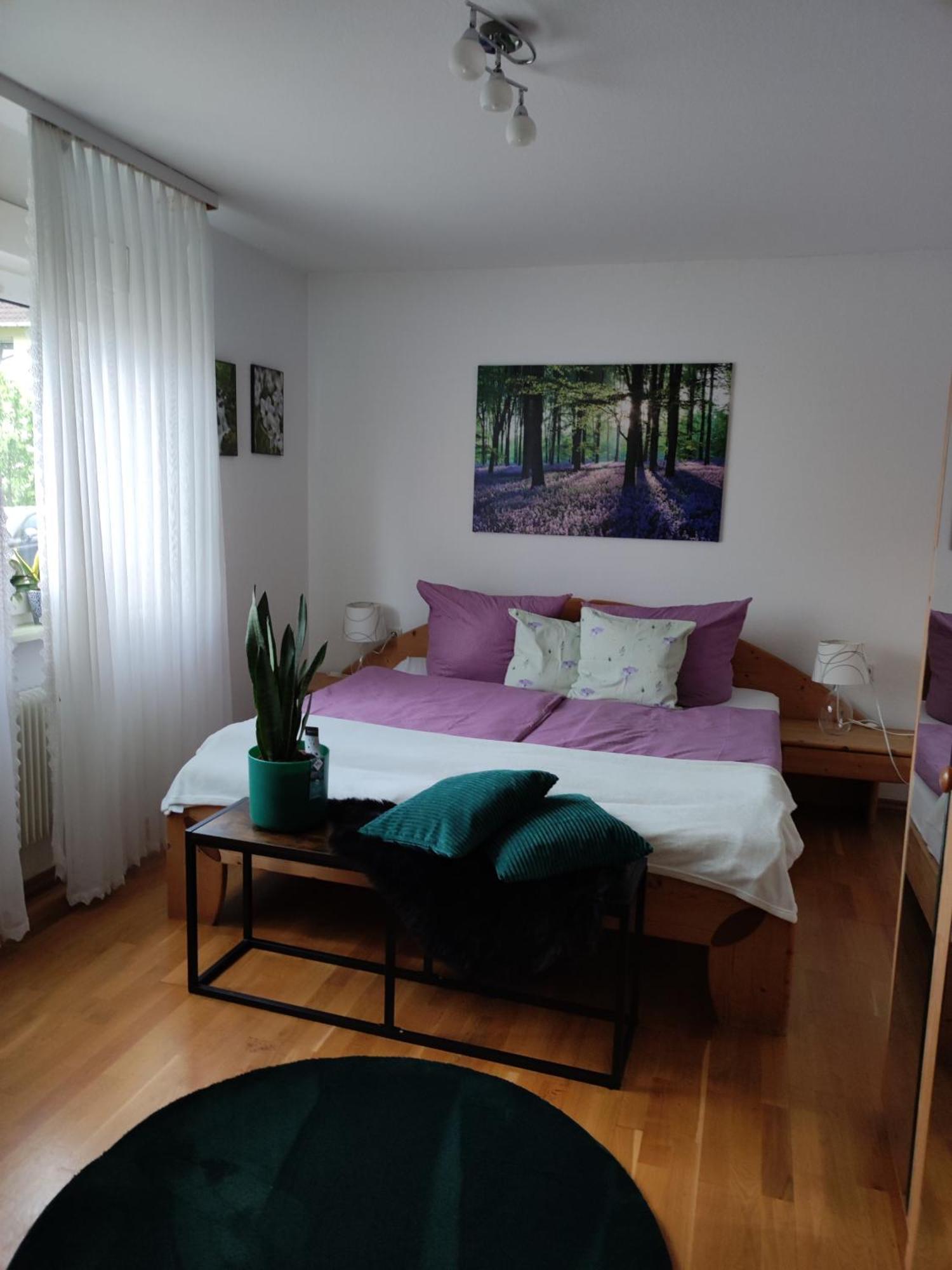 Ferienwohnung Sartorius بينسهايم المظهر الخارجي الصورة